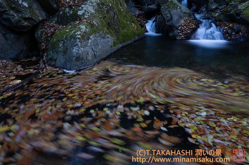 ../Images/7R251115 (1).jpg